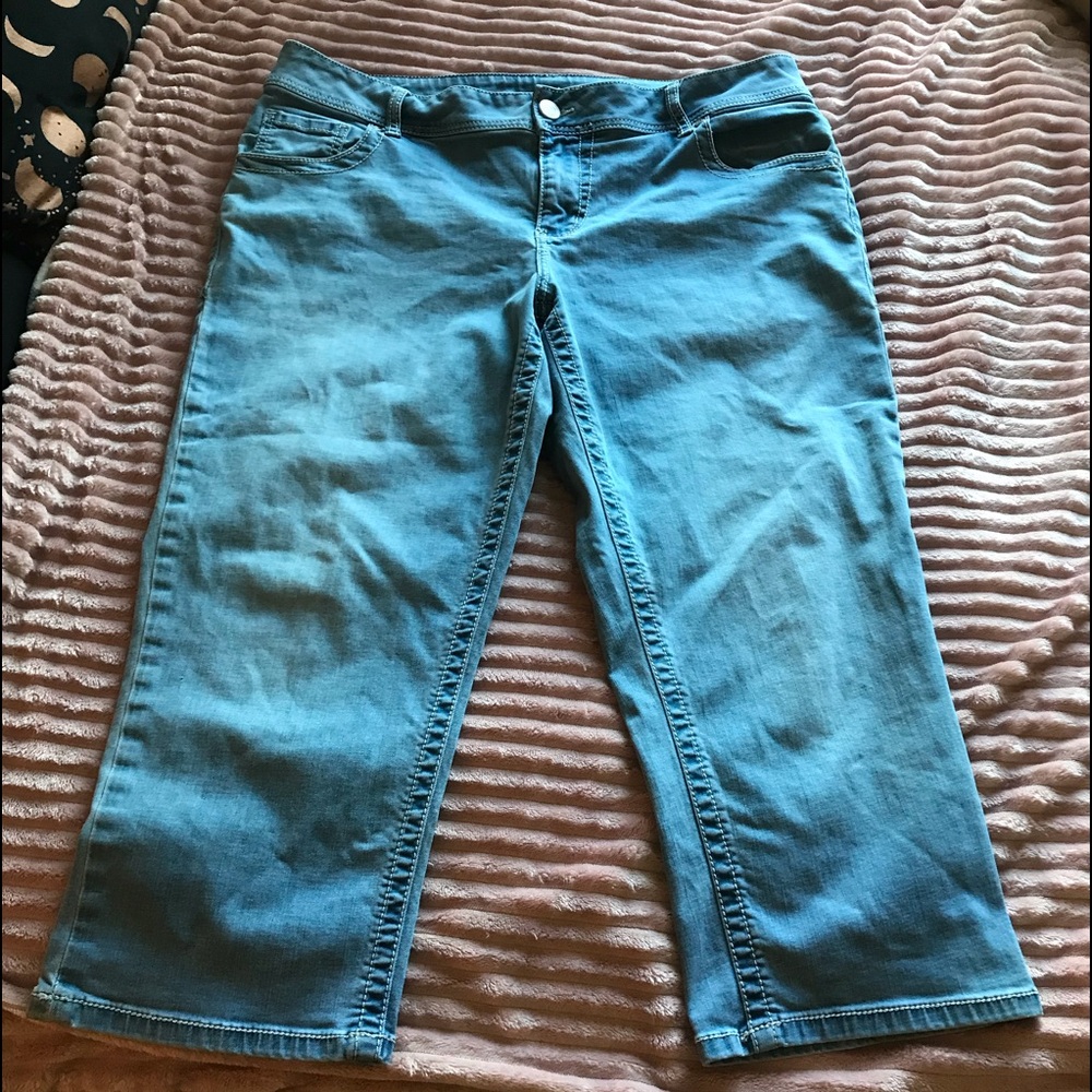 Lane Bryant stretchy capris